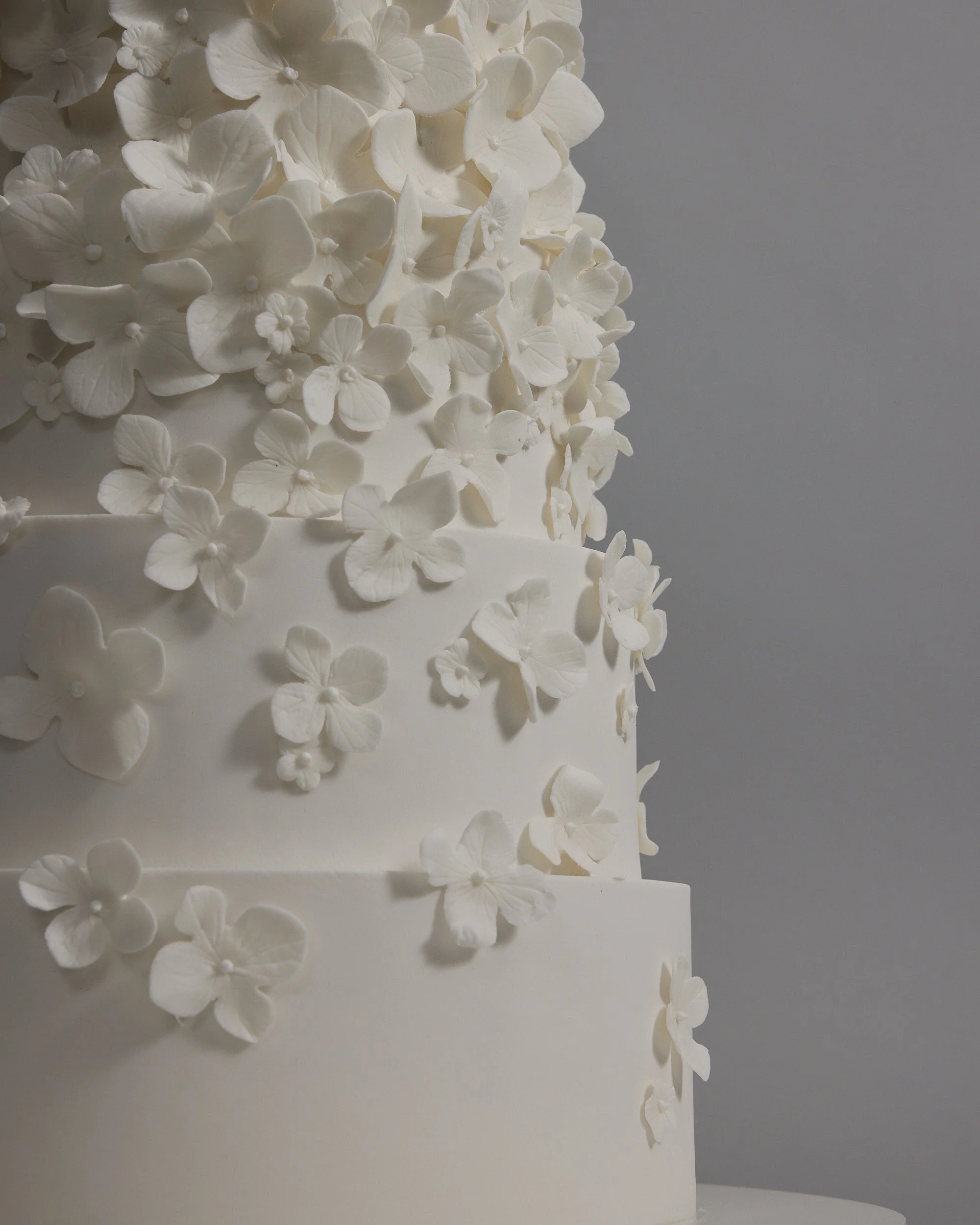 Cake_Hero_2026_460.JPEG