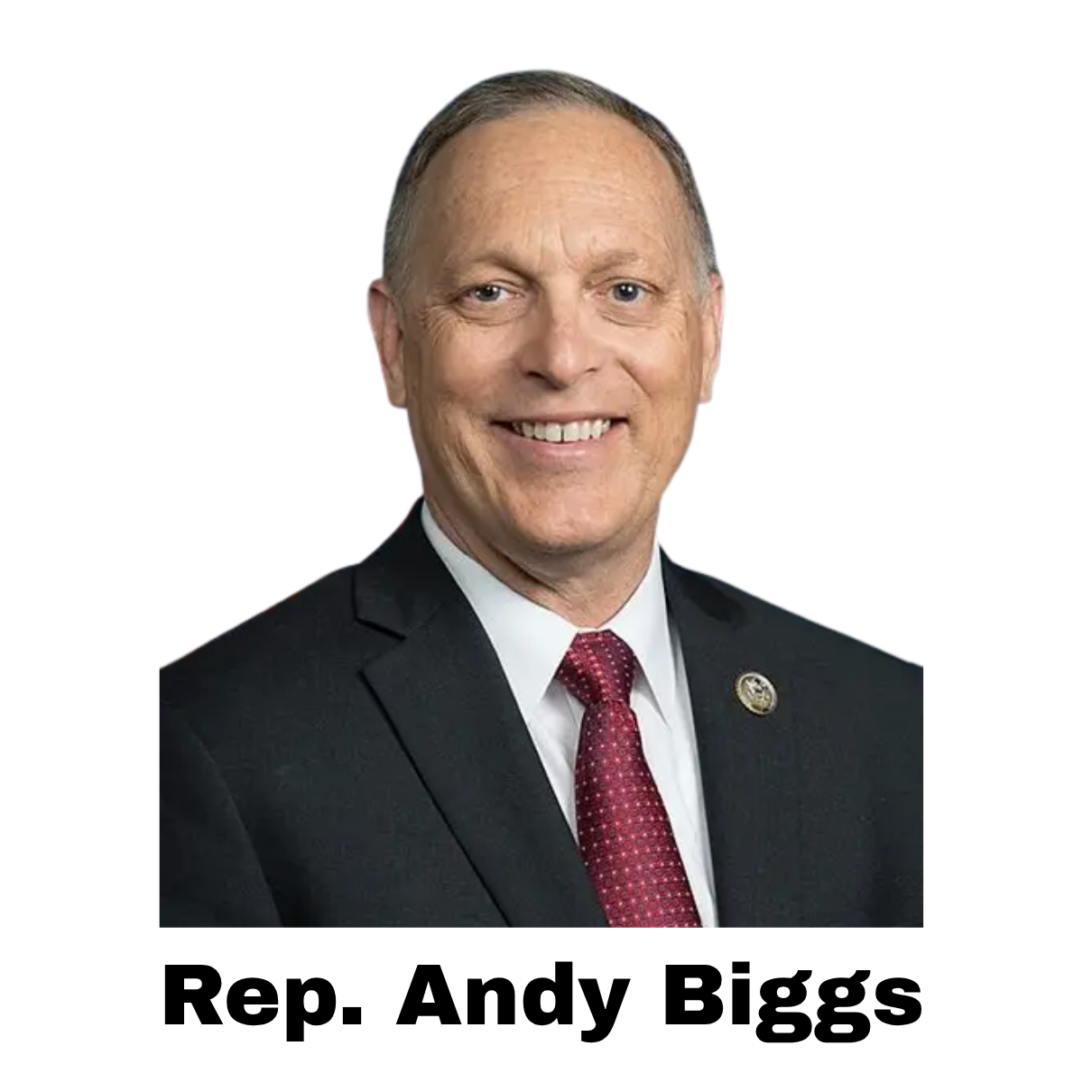 4. Rep. Andy Biggs.png