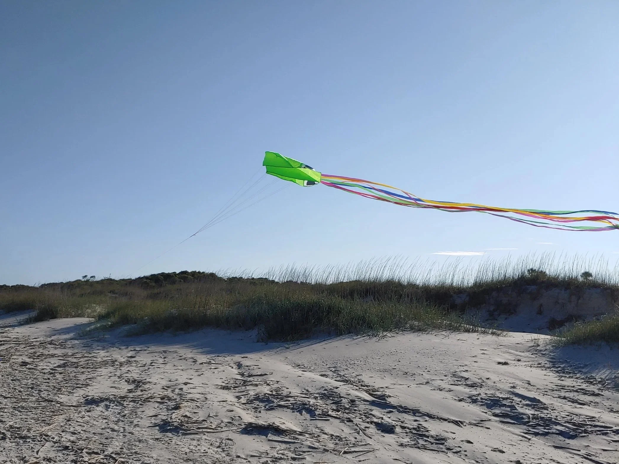 A green kite with rainbow streamers flying in a clear blue sky over sandy dunes and grassy vegetation.
