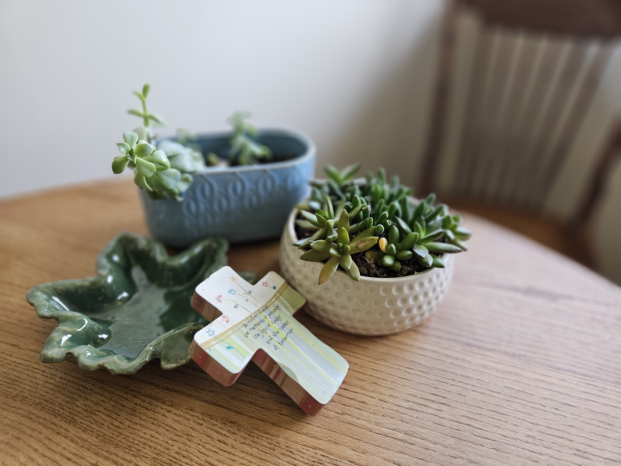 Close-up of two small potted succulent plants on a wooden surface, with a decorative green ceramic dish, a tag, and a handwritten note in the foreground.