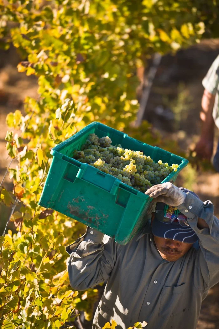 201009_HM_Napa_D3-3575 copy.jpg