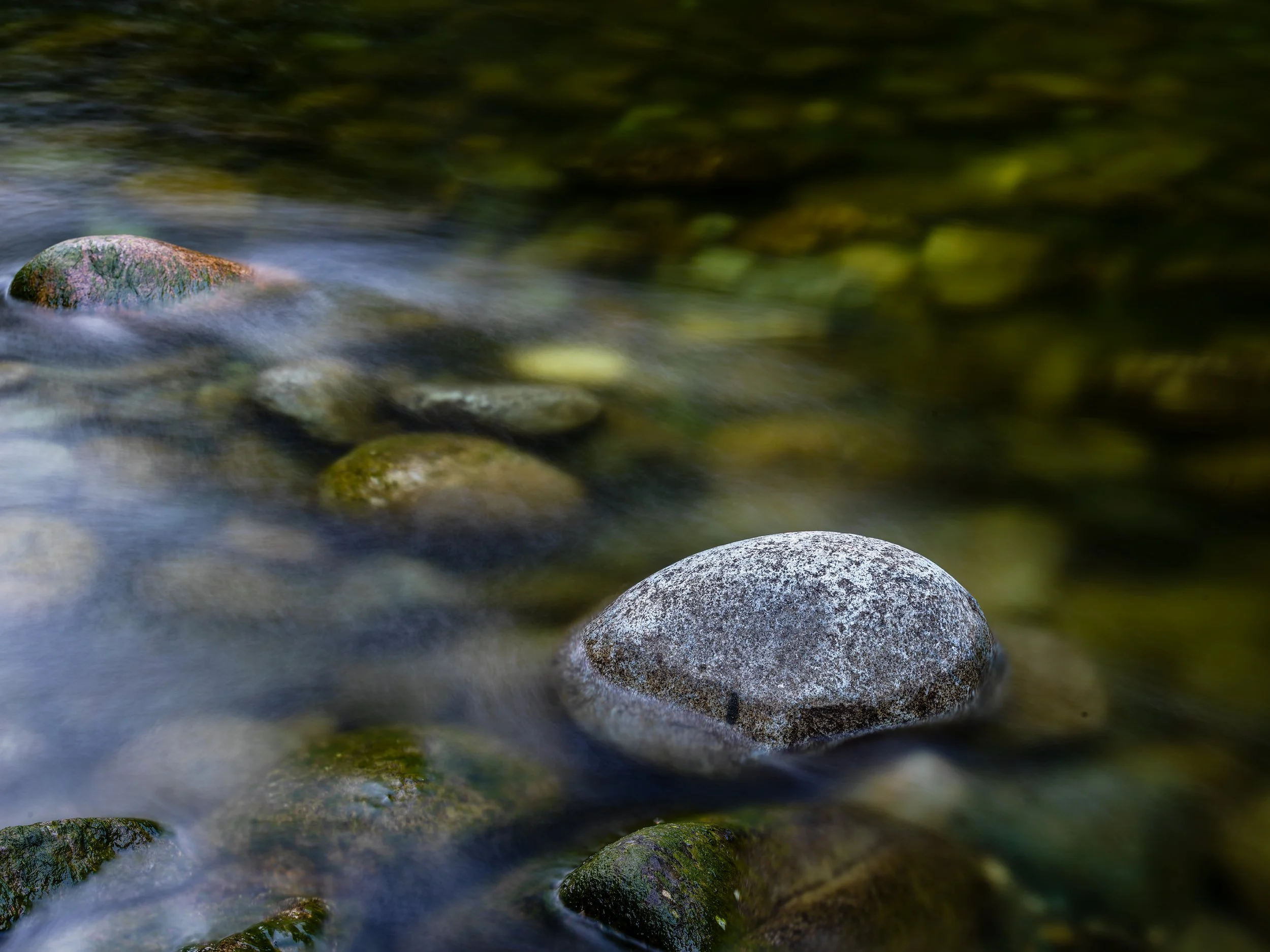 20180209_Darwin_Sentinel_H6_0584 copy.jpg