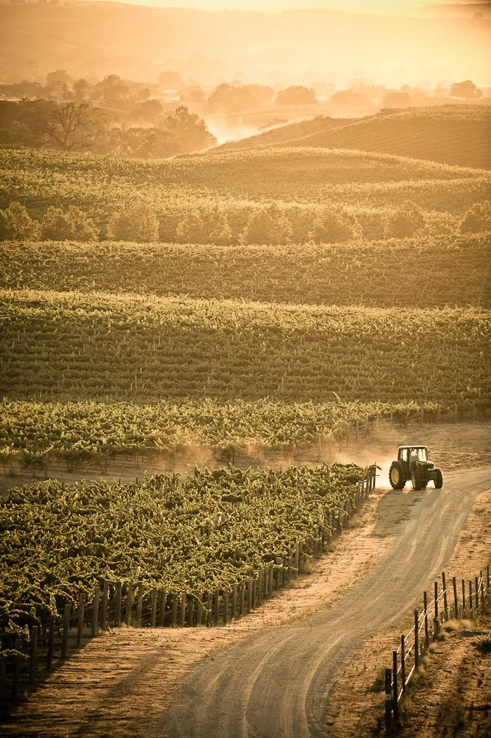 201009_HM_Napa_D3-3228 copy.jpg