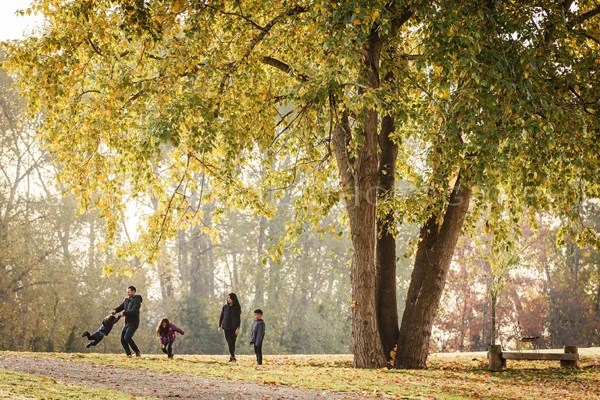 untitled-7409 copy.jpg