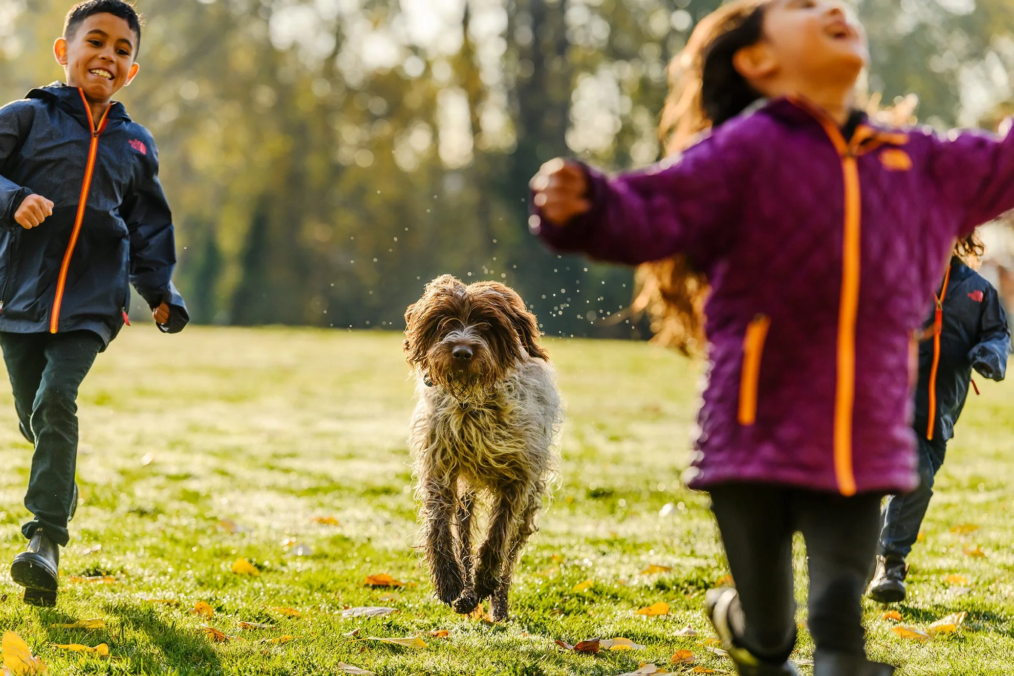 201710_Wilmar_D8-6307 copy.jpg