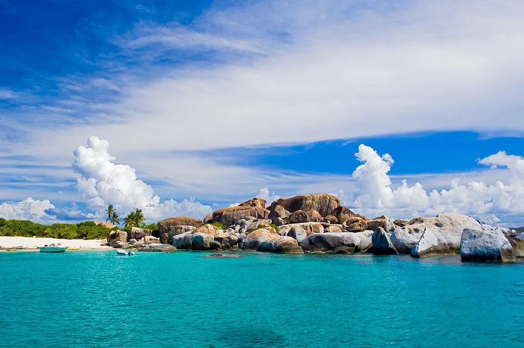 200706_RES_Tort_D2X_0604 copy.jpg