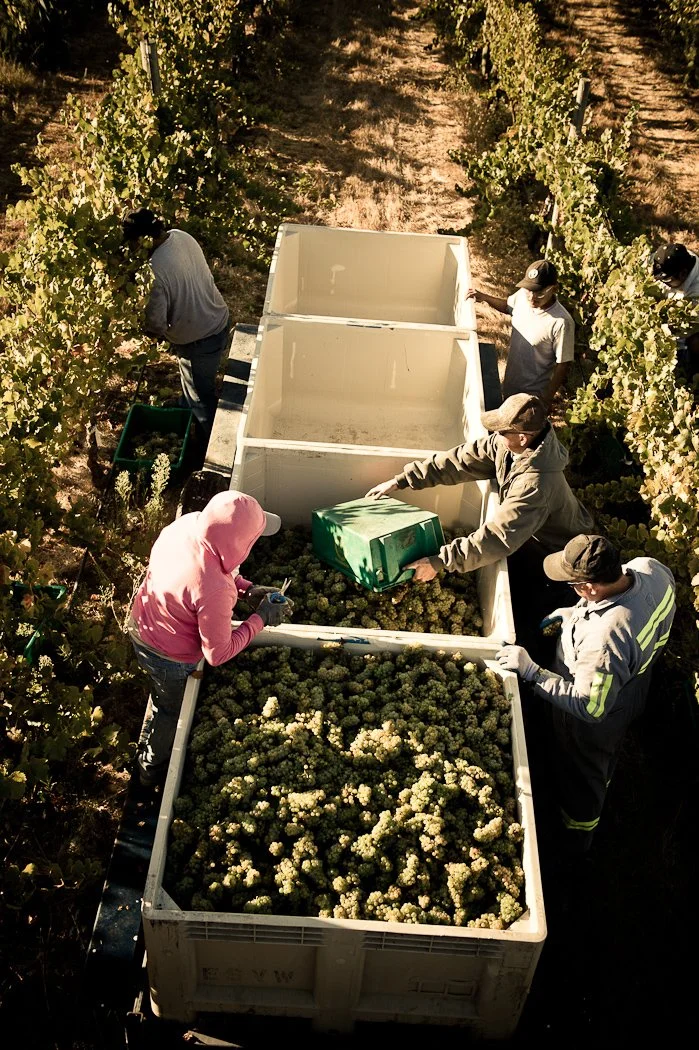 201009_HM_Napa_D3-3527 copy.jpg