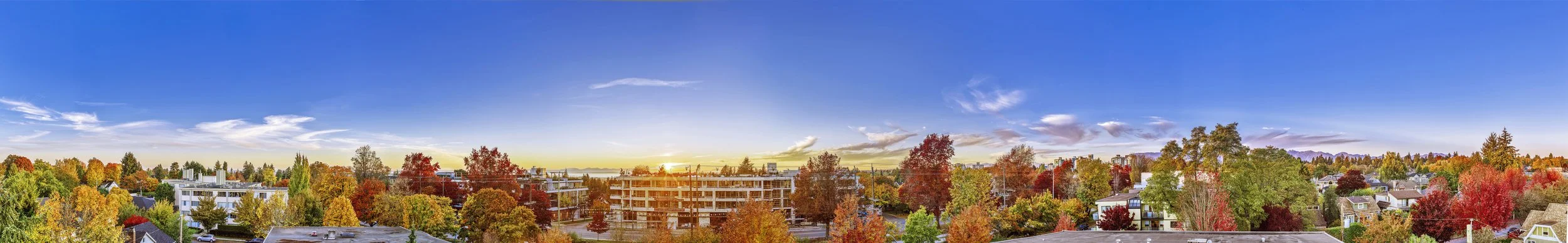 20181004_Chloe_Pano_H6_1541-2_8b copy.jpg