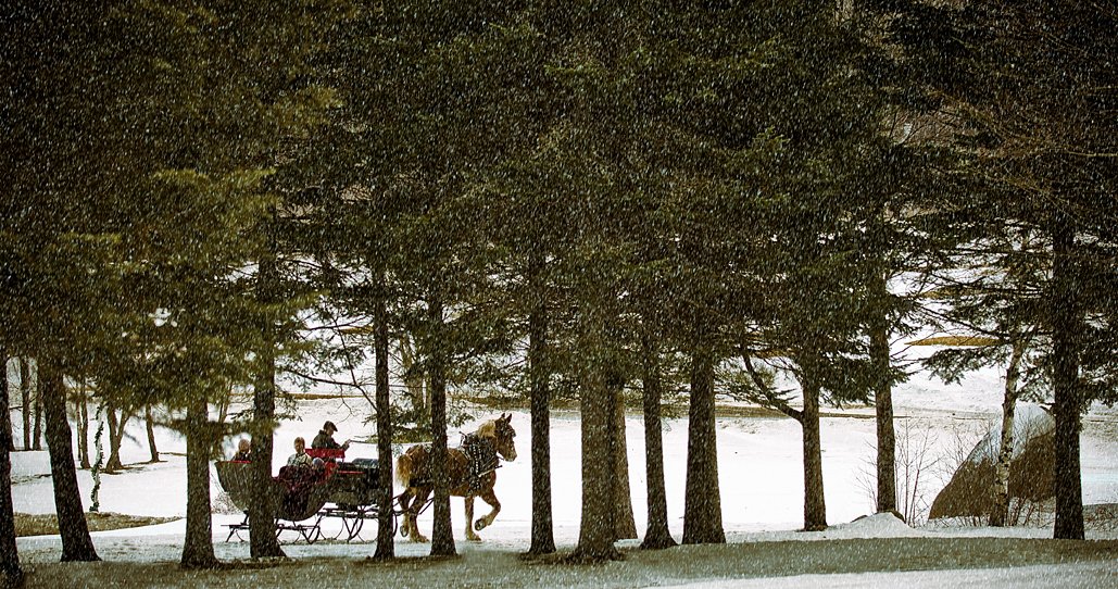 200703_D2X_MtWash_0768-2 copy.jpg