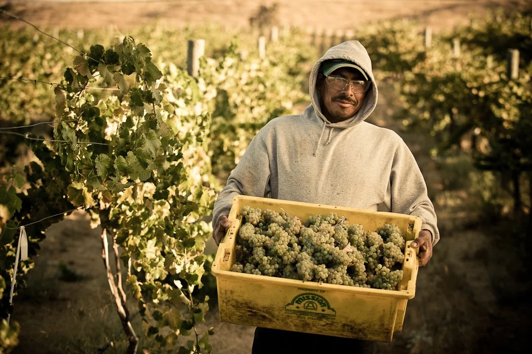 201009_HM_Napa_D3-3412 copy.jpg