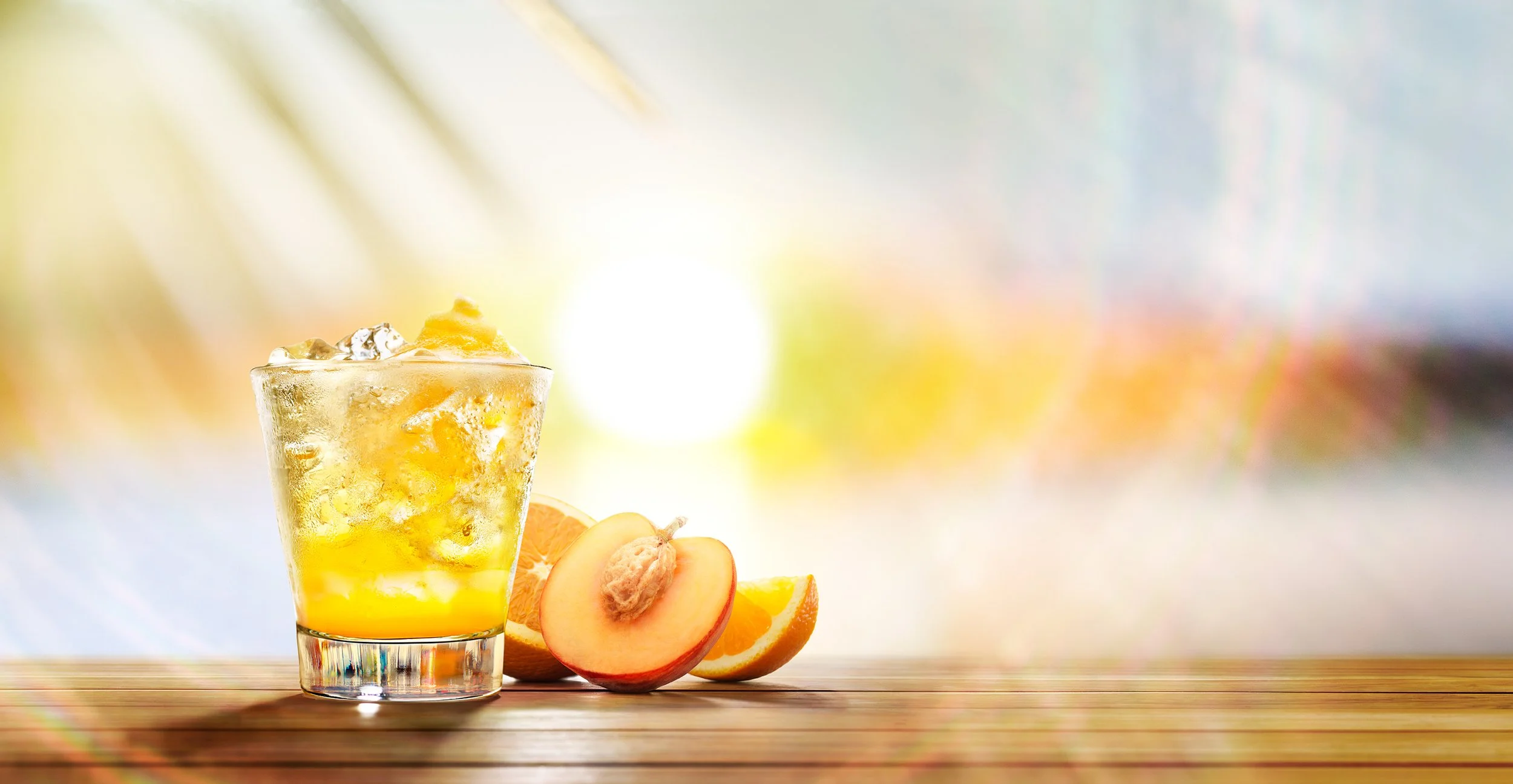 201404_CactusPeachOrange_RGB5b copy.jpg