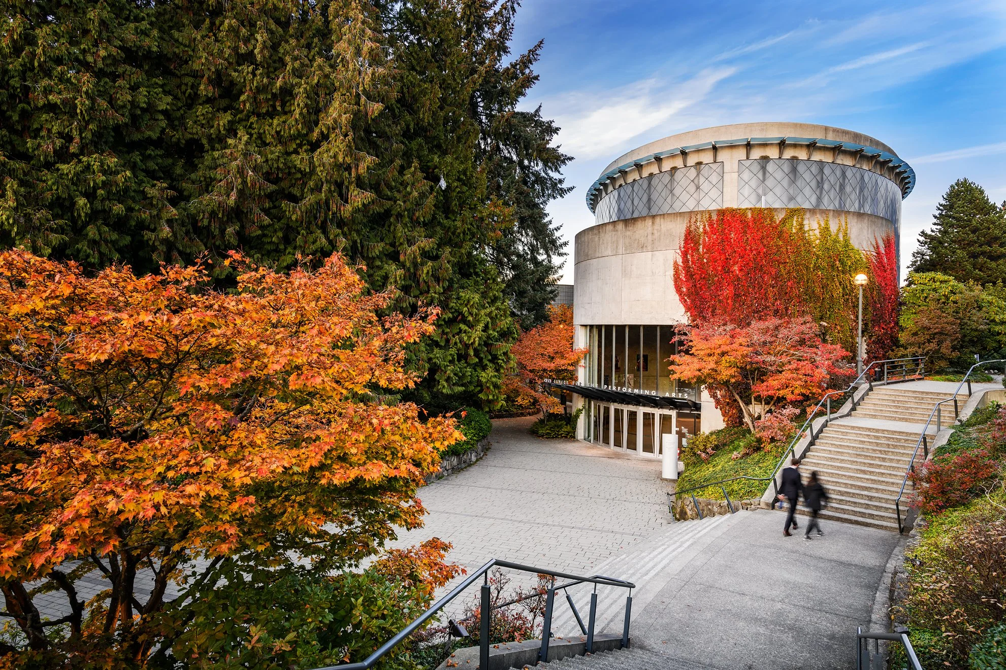 20181005_Chloe_neighborhood_D8-714-Edit copy.jpg