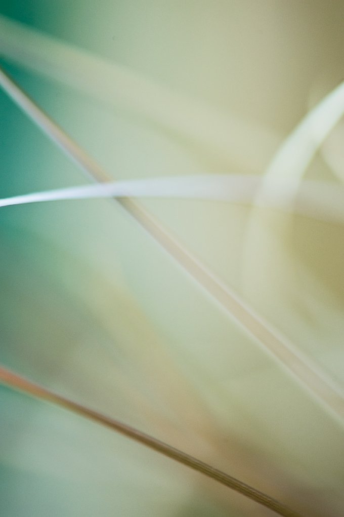 0807_LBX_SAGE_D3-1057 copy.jpg