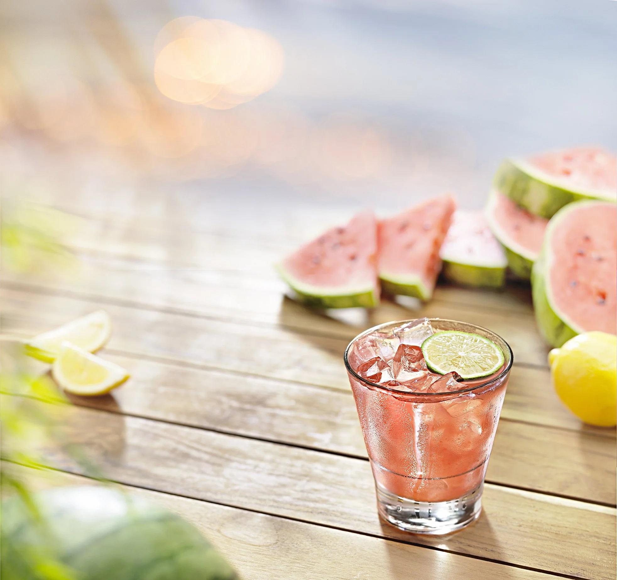 201404_CactusWatermelon_RGB1b copy.jpg