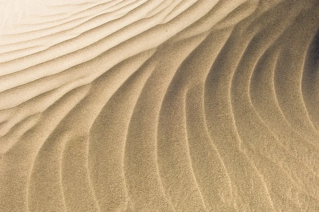 071011_D2X_E&S_PSpring_0093 copy.jpg