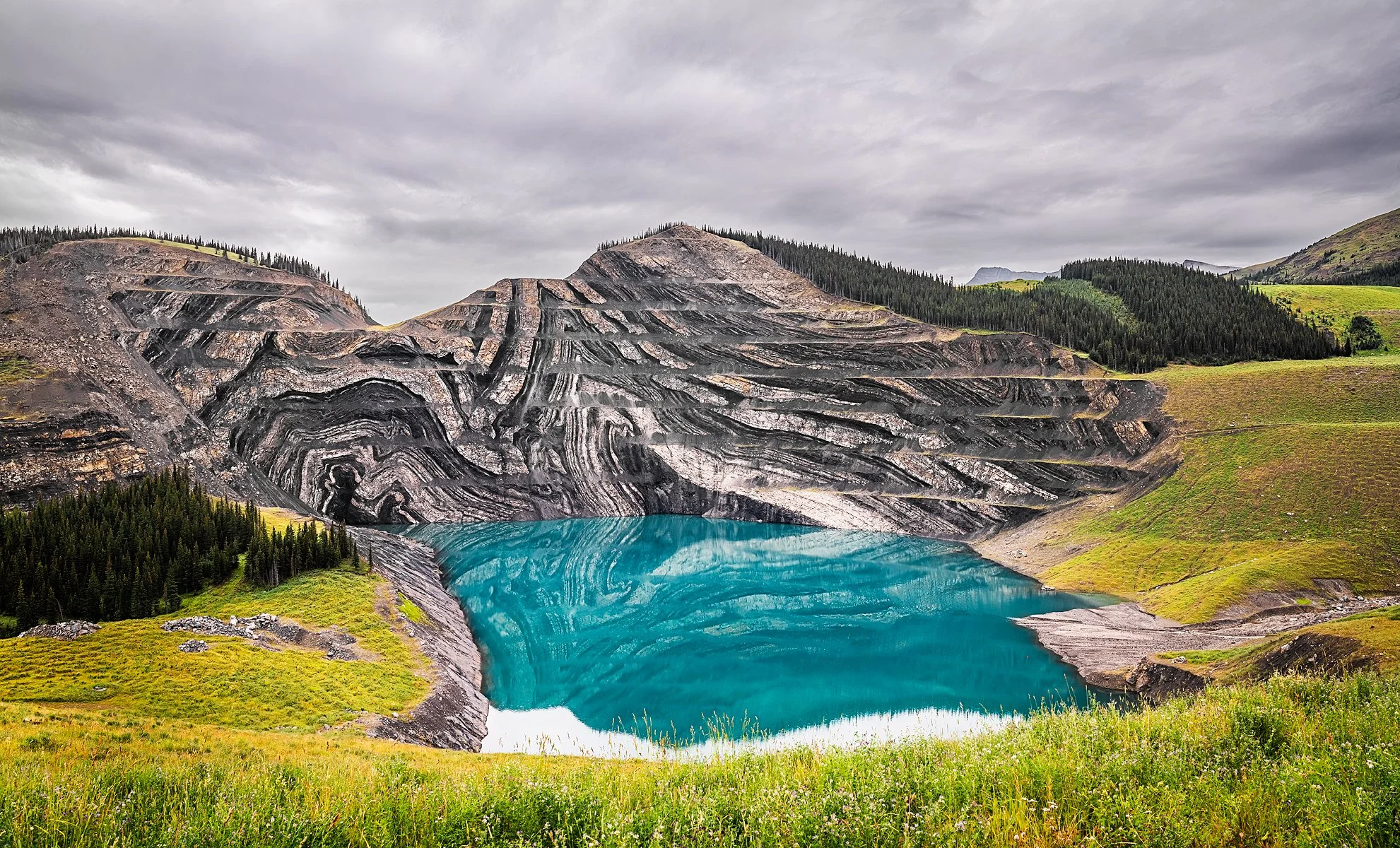 20220822_TECK_Cardinal_D8-2332 copy.jpg