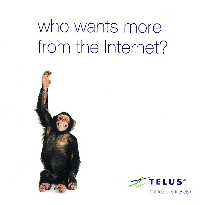 ZB_Telus Chimp#1013 copy 1.jpg