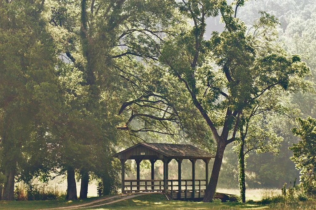 E&S_Briar_main_0449 copy.jpg