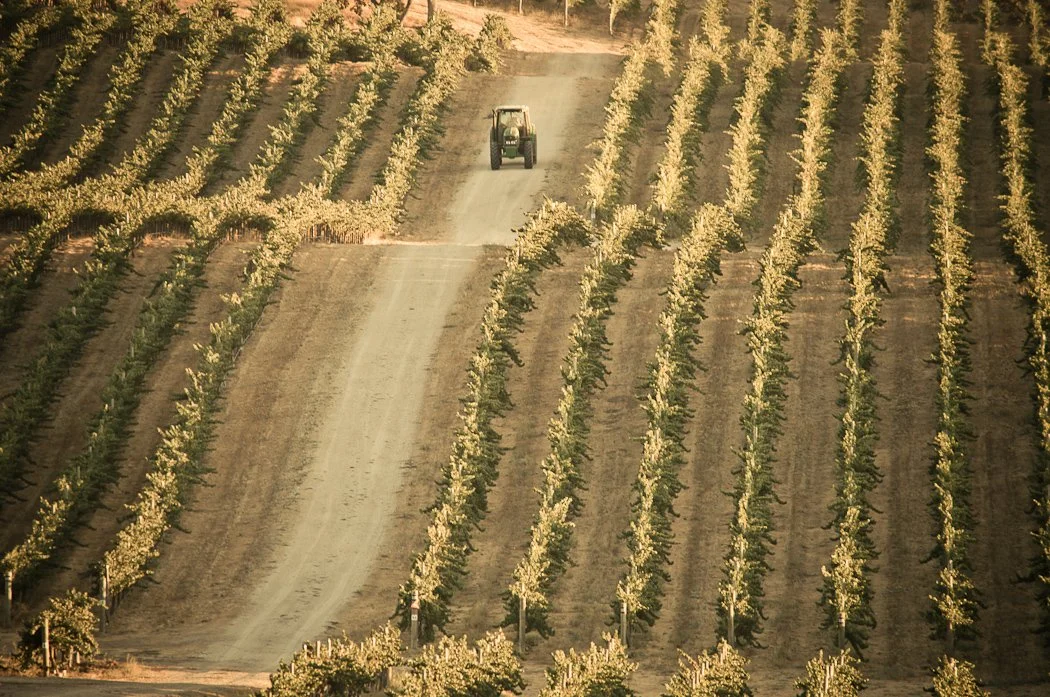201009_HM_Napa_D3-4087 copy.jpg