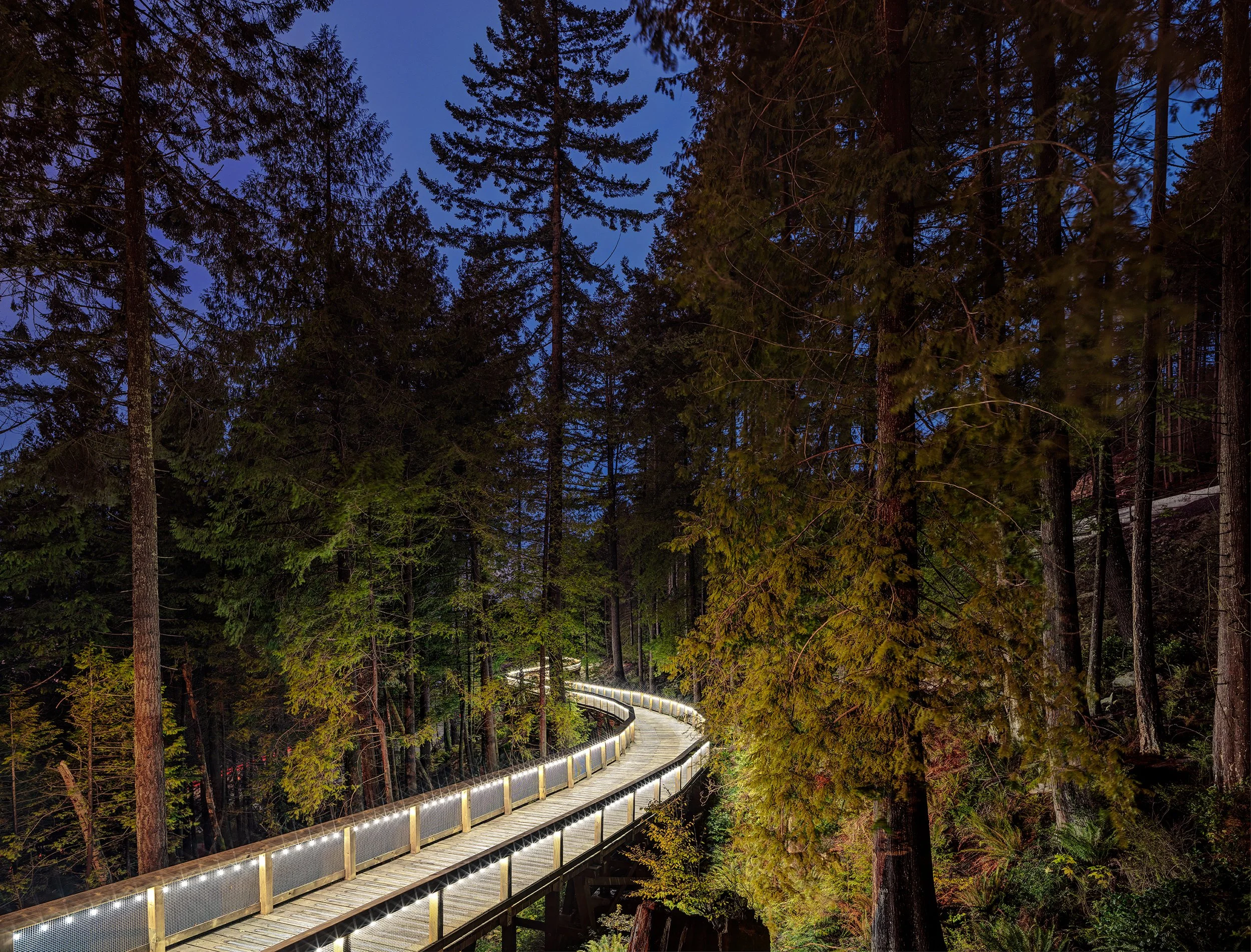 2021126_BP_BridgeH6_0090 copy 3.jpg