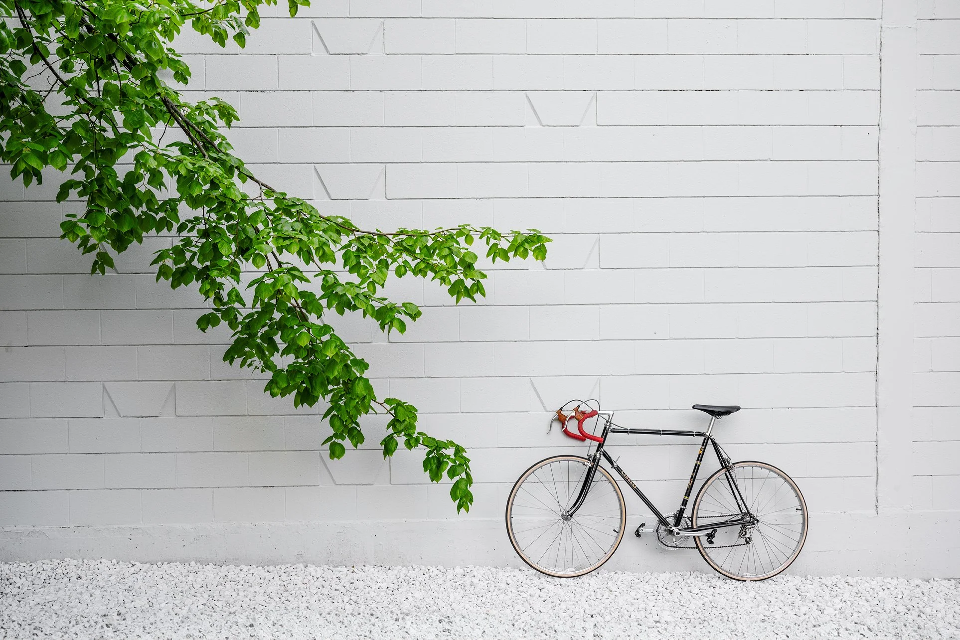 20240502_CommercialStr-354 copy.jpg