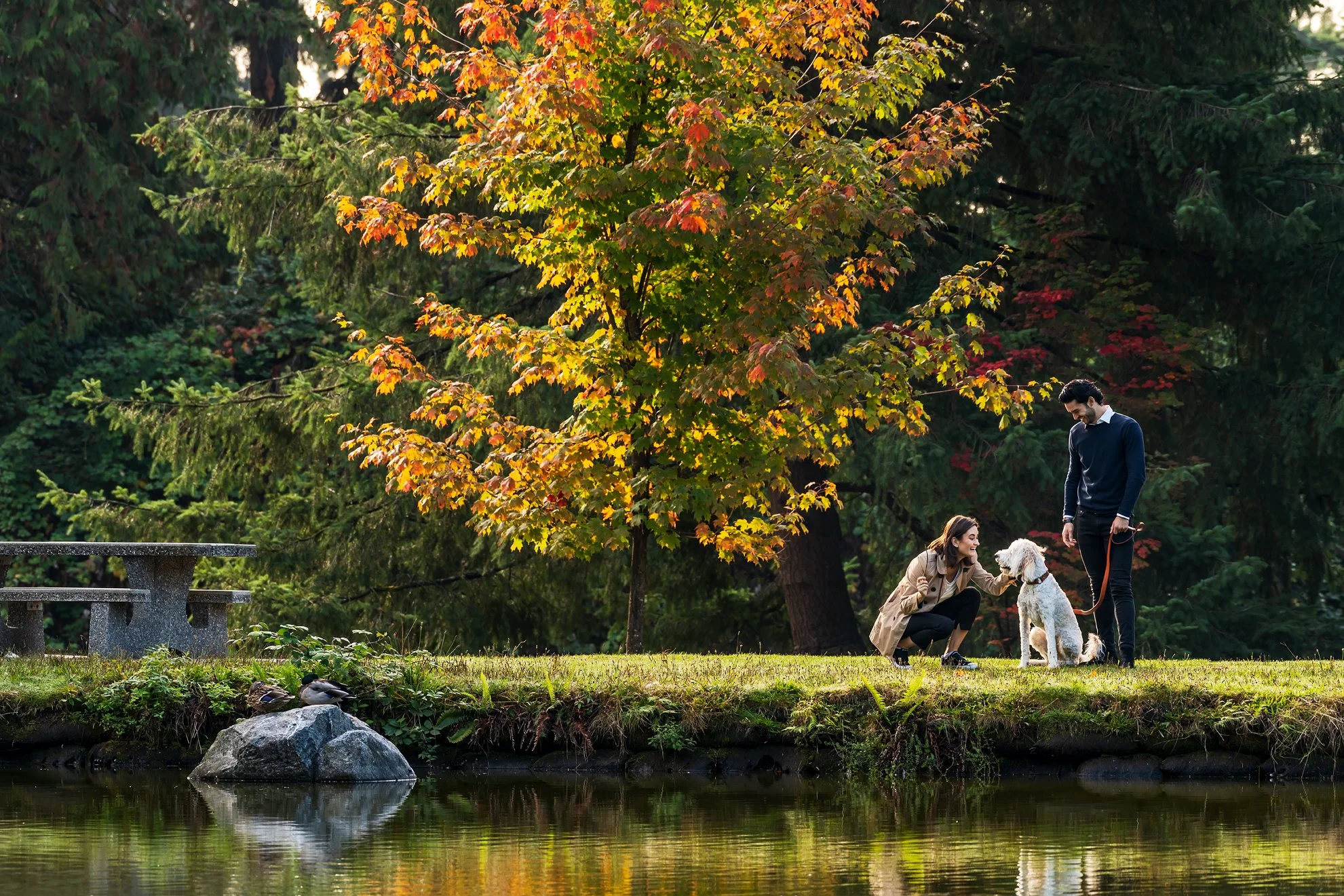 20180921_IC_Maywood_D8-647-3 copy.jpg