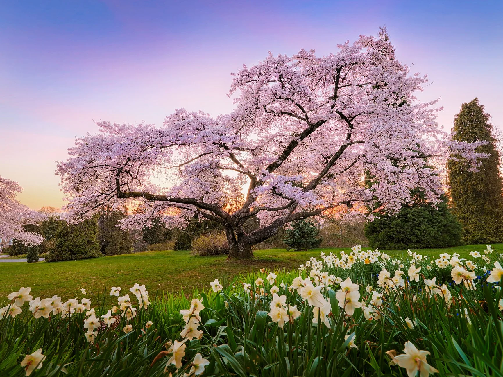  201304_LBX_Empire_H3D_0209rev26 copy.jpg