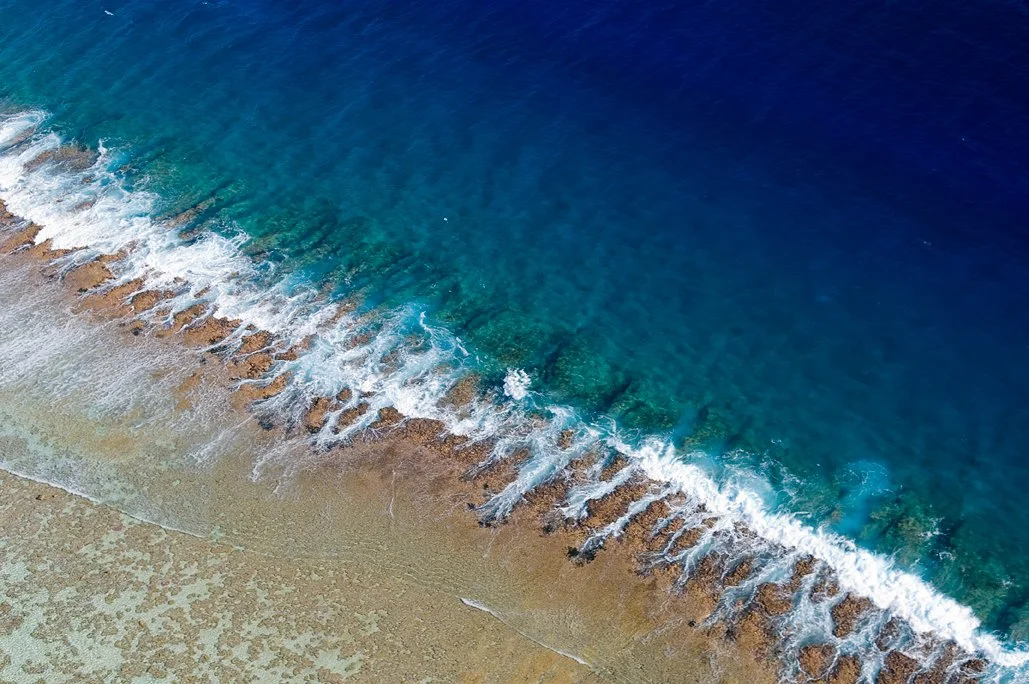 200701_LR_Bora_3748 copy.jpg