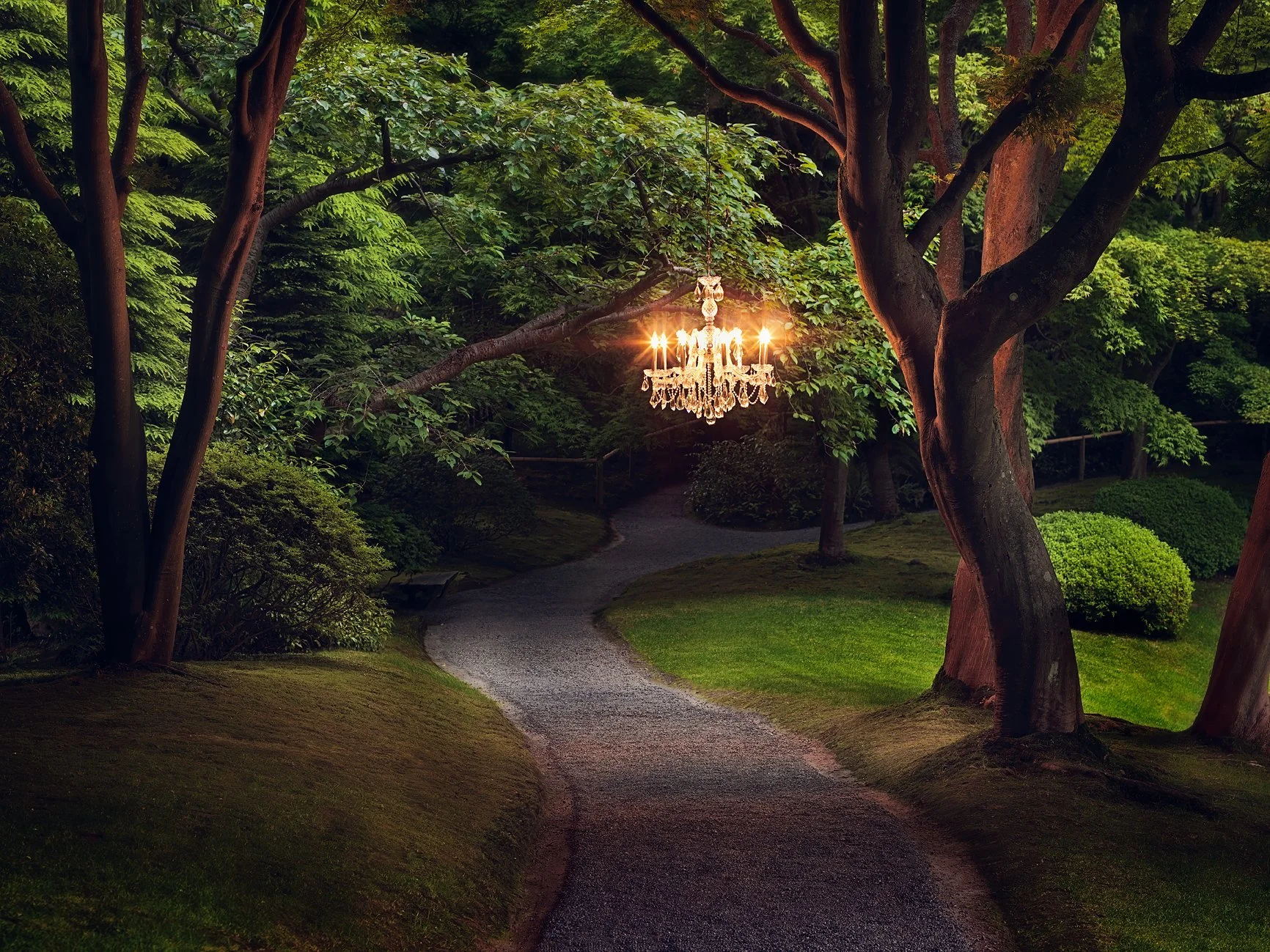 JSP08021_080624_LBX_SAGE_Tree_Ch_RGB copy.jpg