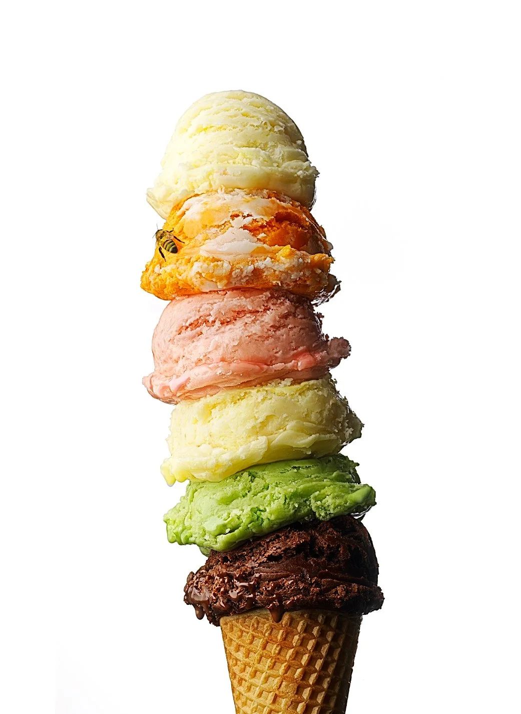 200607_VanMagIce 0013 bugs copy.jpg