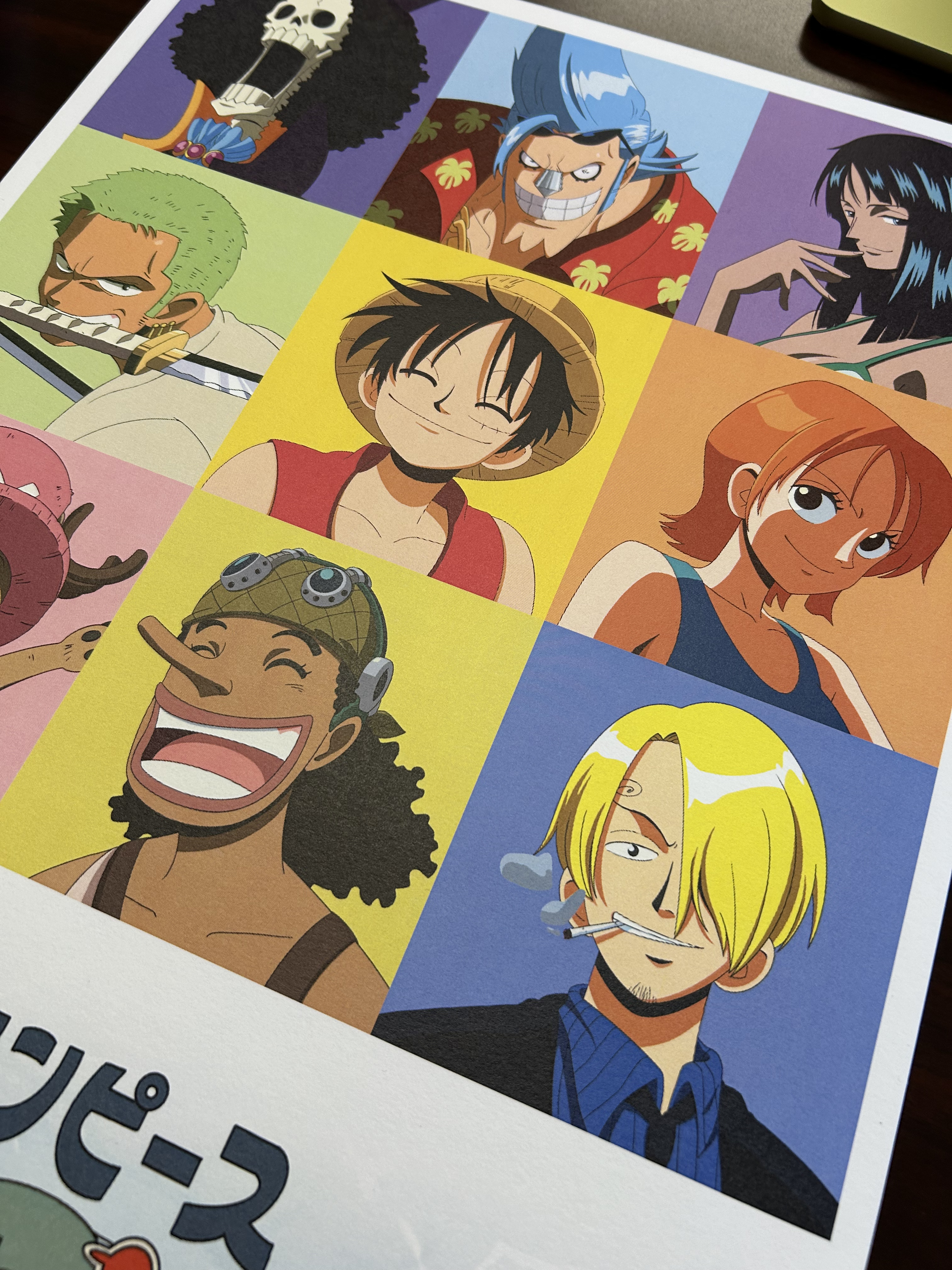 One Piece Print closeup 2.png