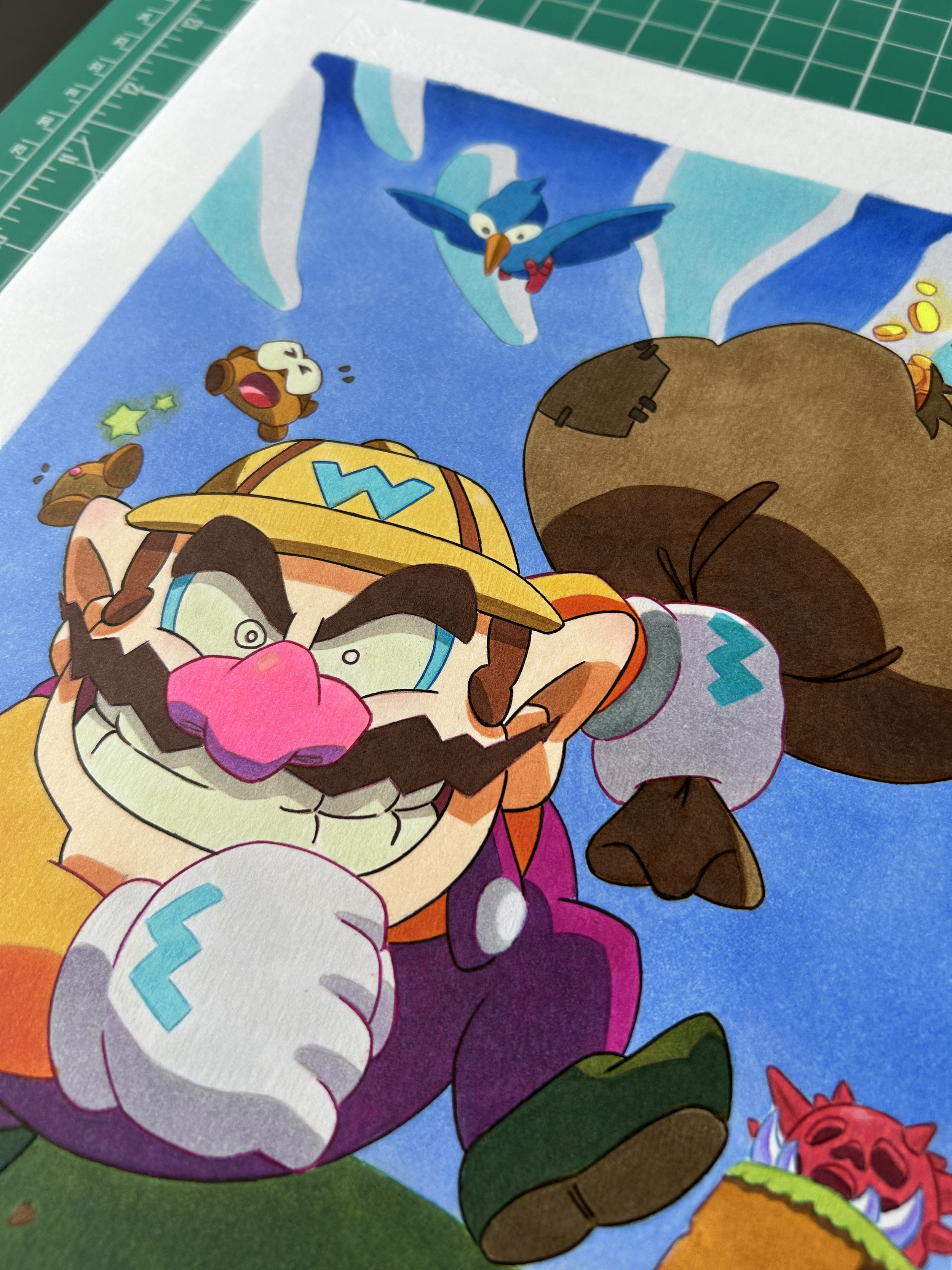 Wario Land pic 4.png