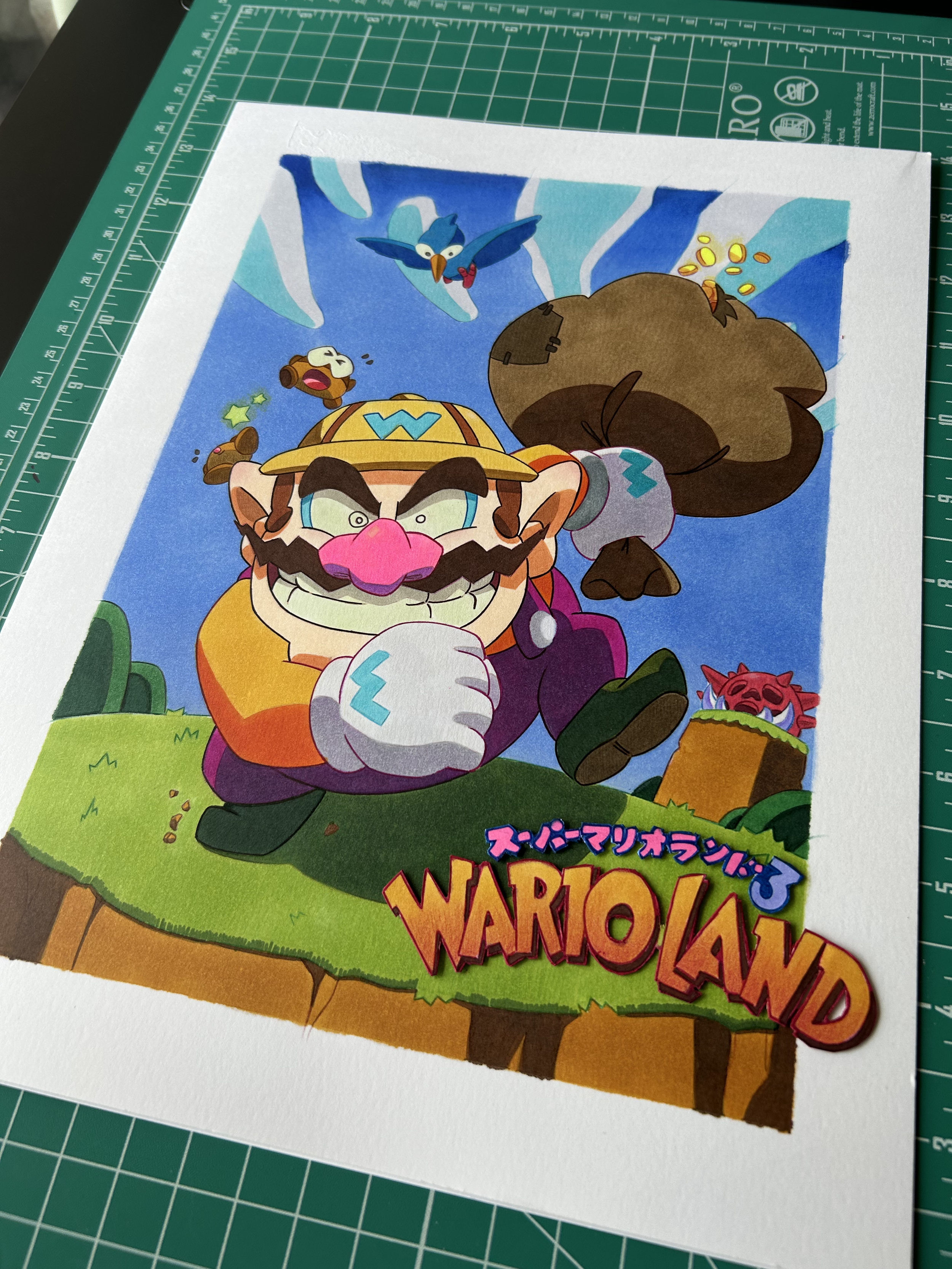 Wario Land pic 2.png