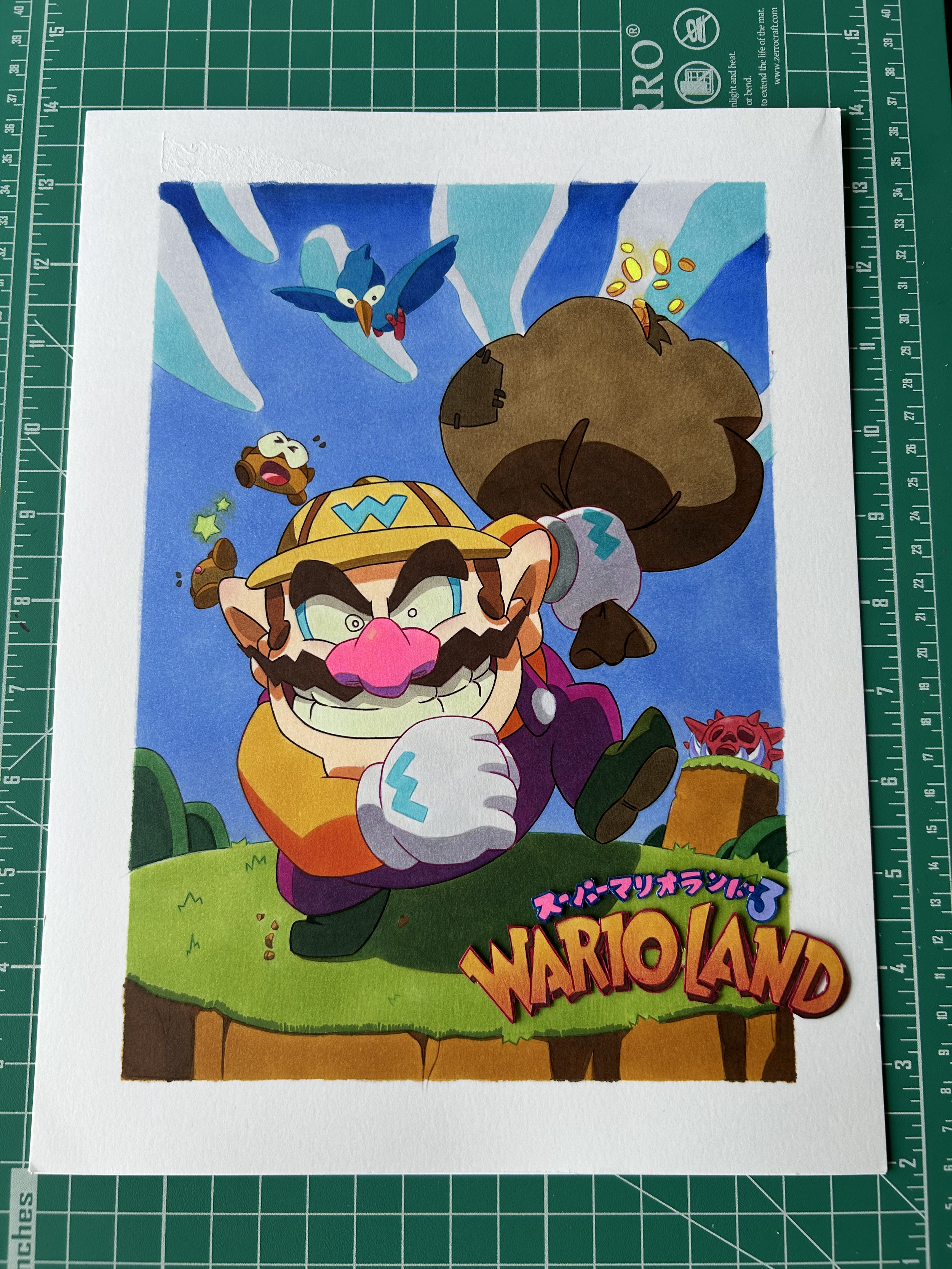 Wario Land