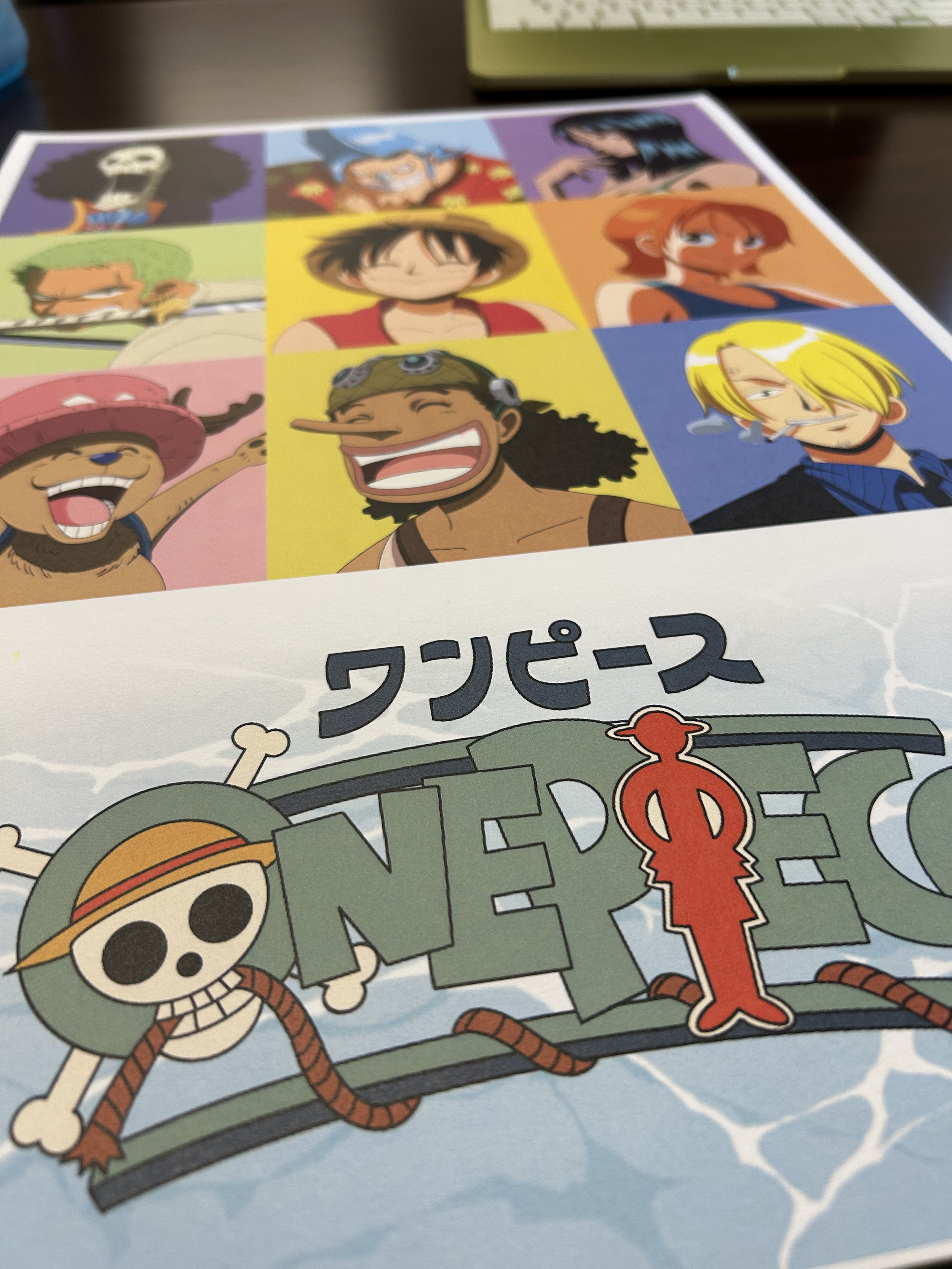 One Piece Print closeup.png