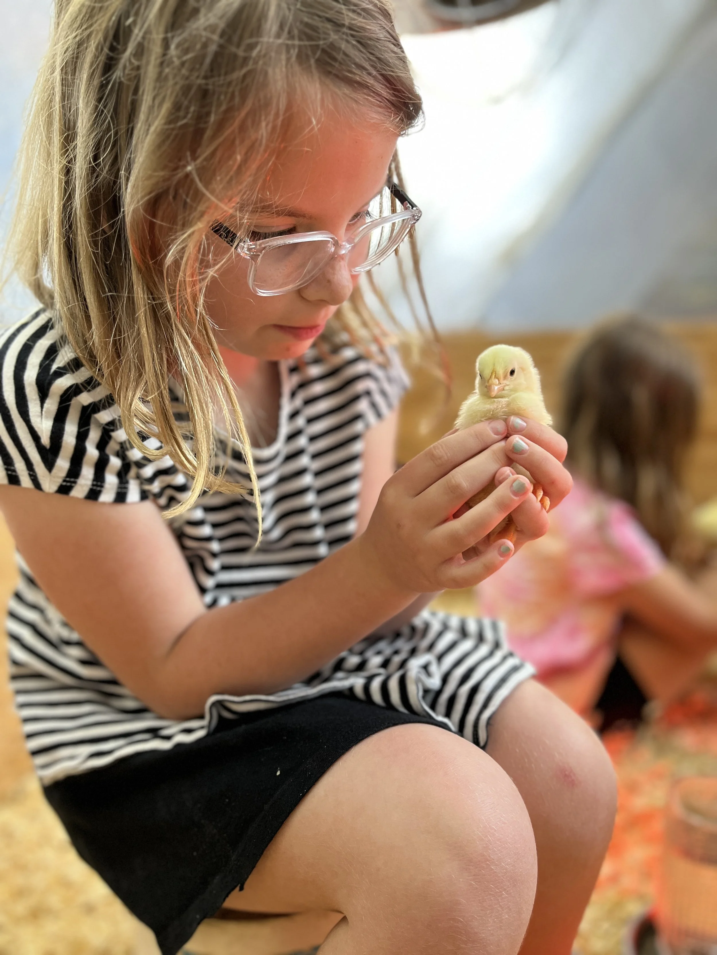 Girl holding a young chick