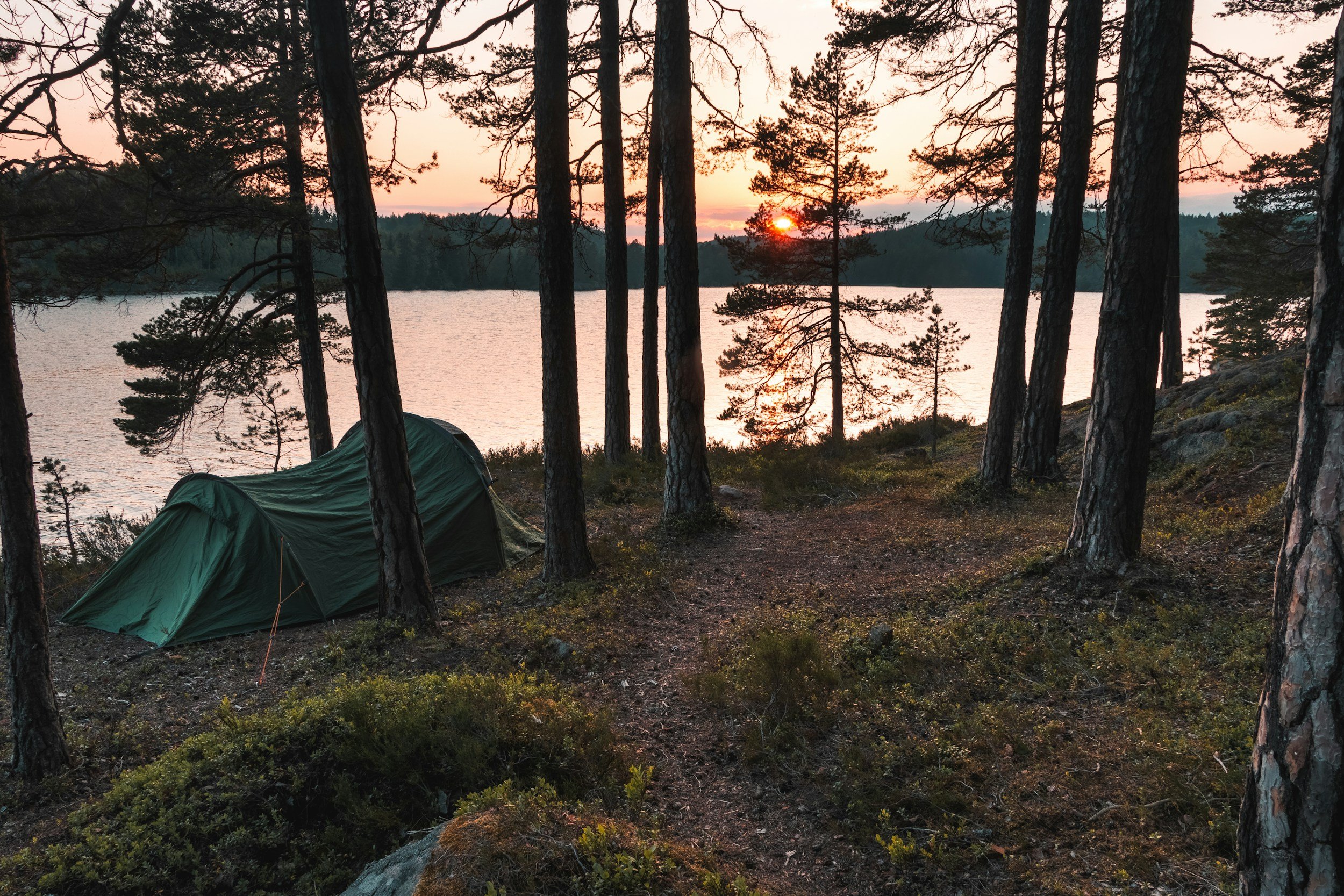 A lakeside camping scene at sunset, with tents set up among tall pine trees on a rocky, grassy shore.