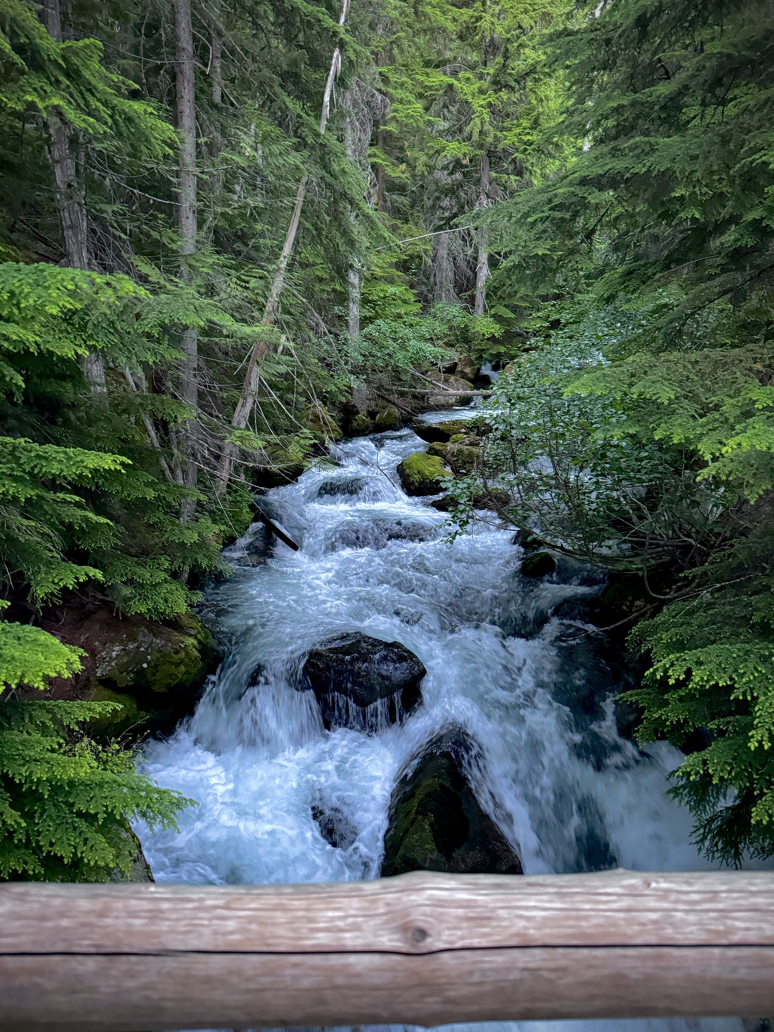 A rushing mountain creek flowing through a lush green forest, seen from a wooden bridge or observation platform.