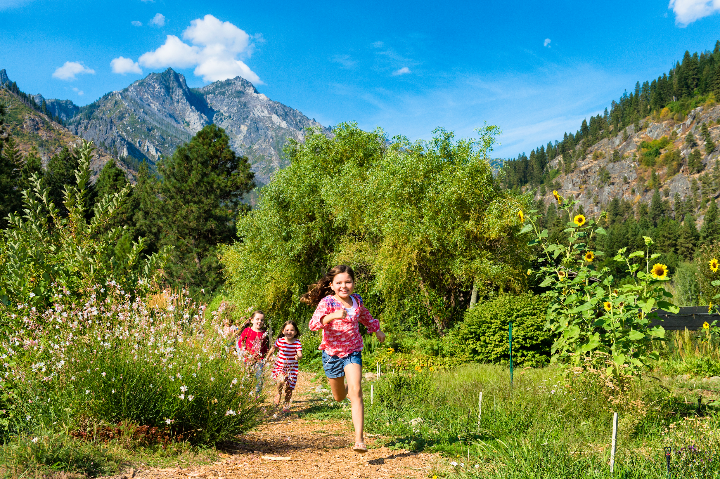 A group of children running through a garden path surrounded by flowers, trees, and mountains in the background on a clear, sunny day.
