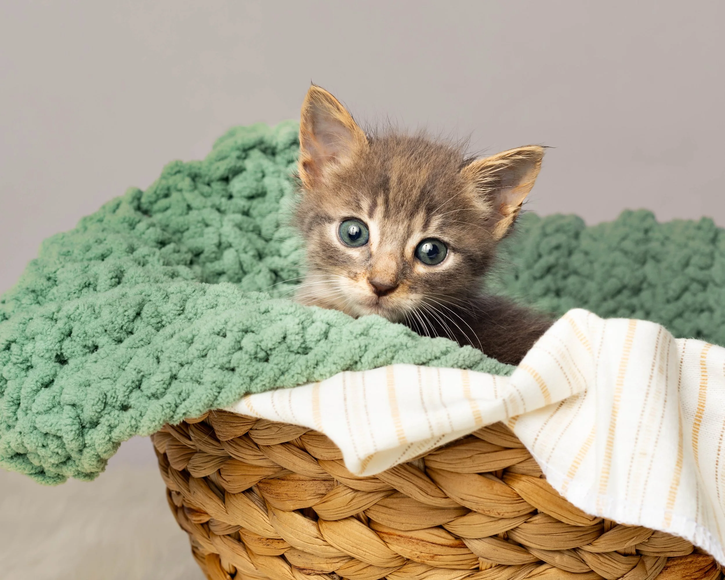 A gray and brown tabby kitten with large green eyes, partially hidden behind a green, textured blanket, sitting in a woven basket with a white and yellow striped cloth.
