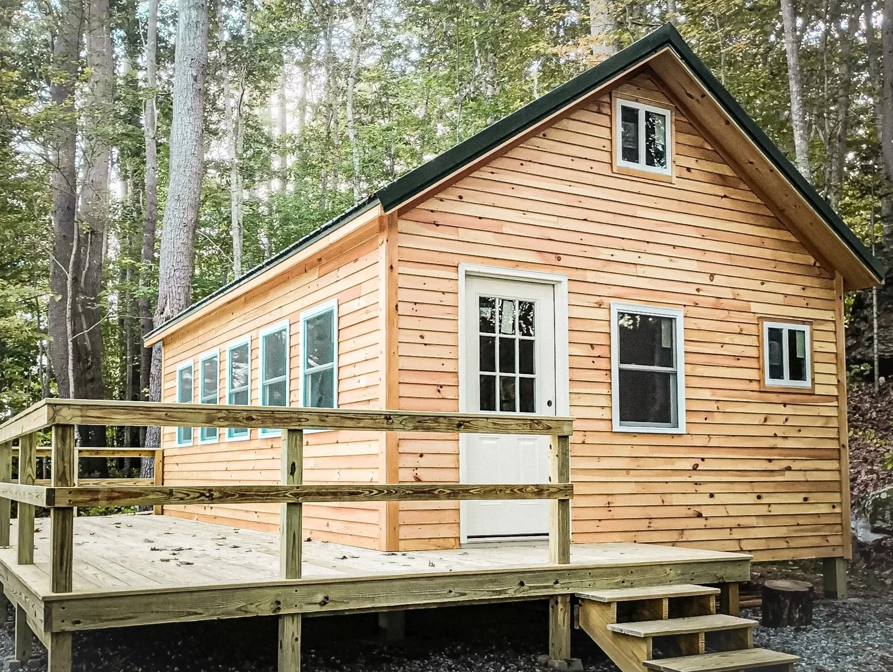 Newly built wooden house with multiple windows and a white door, situated in a forested area with tall trees, featuring a small front porch with steps.