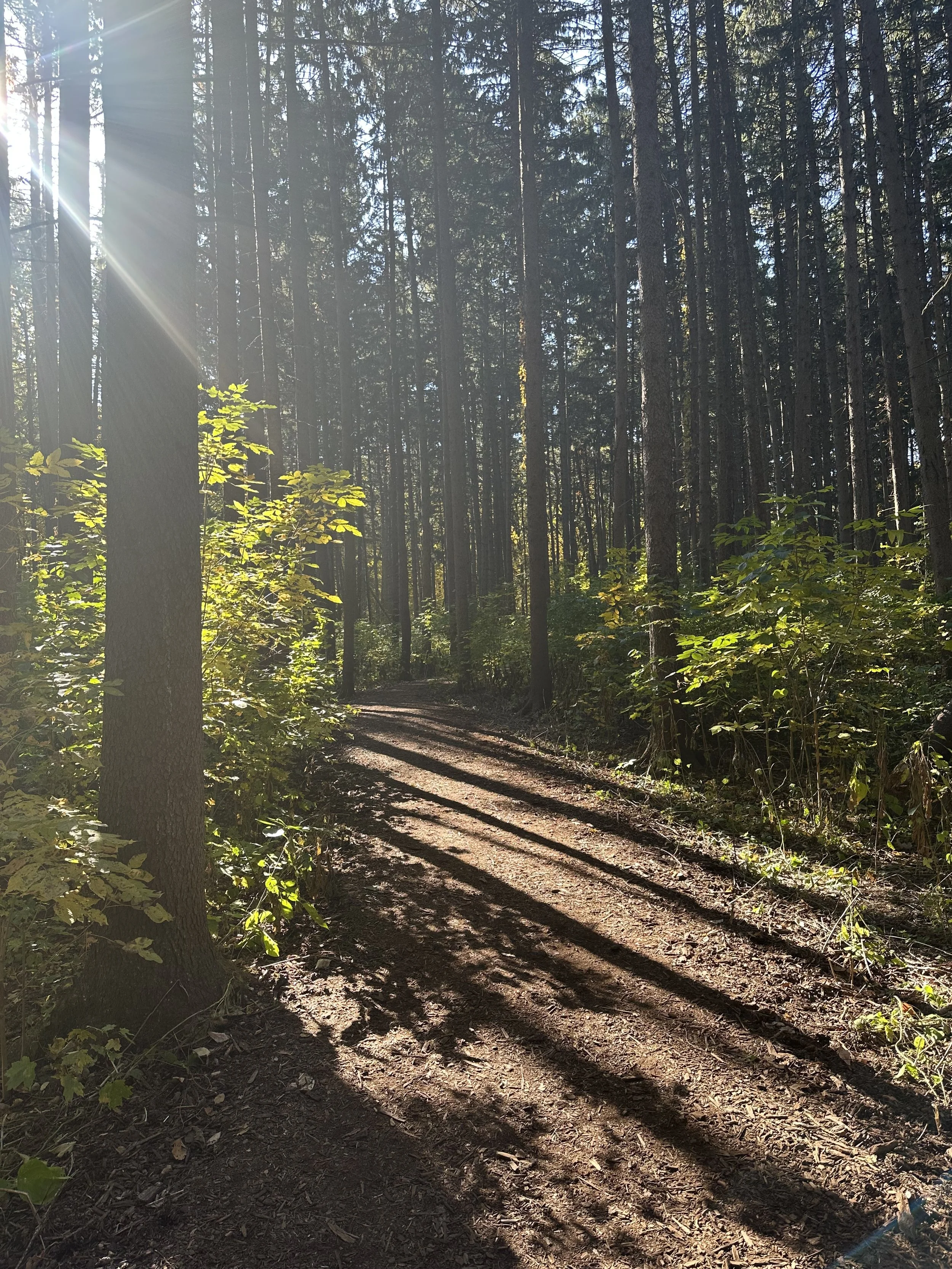 The Return to Stillness