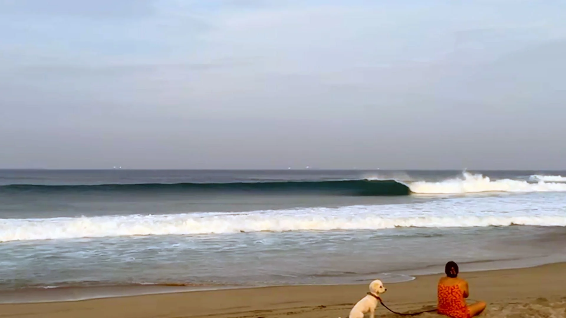 surf_las_palmeras_april_conejo.jpg