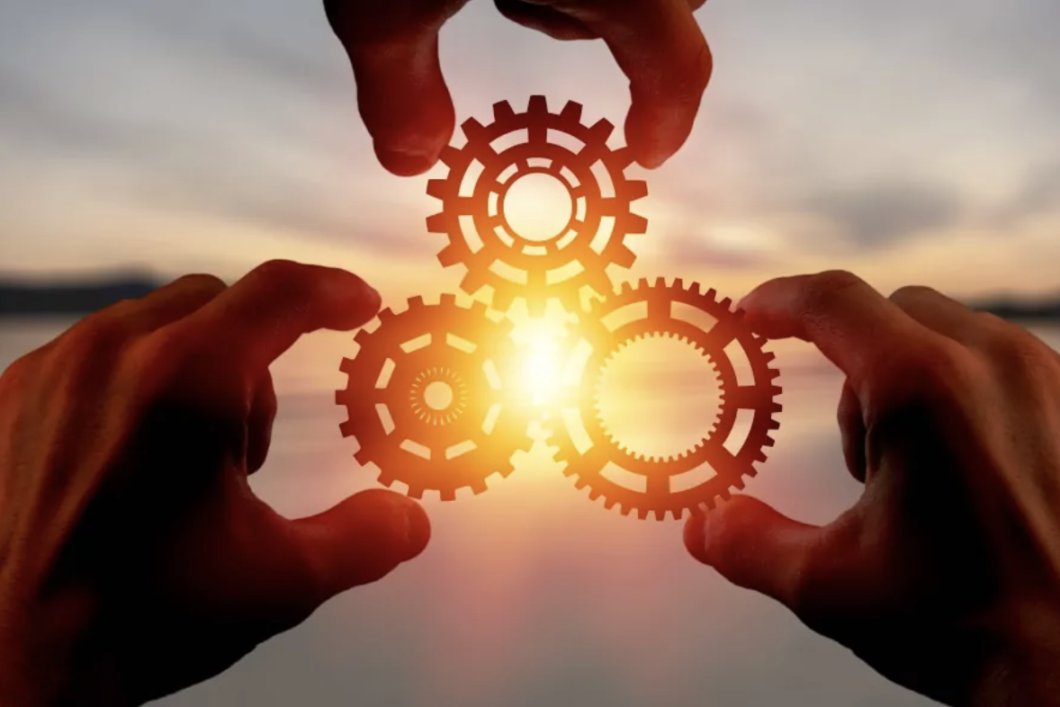 A Guide to Thriving as a Life Science and MedTech Incubator