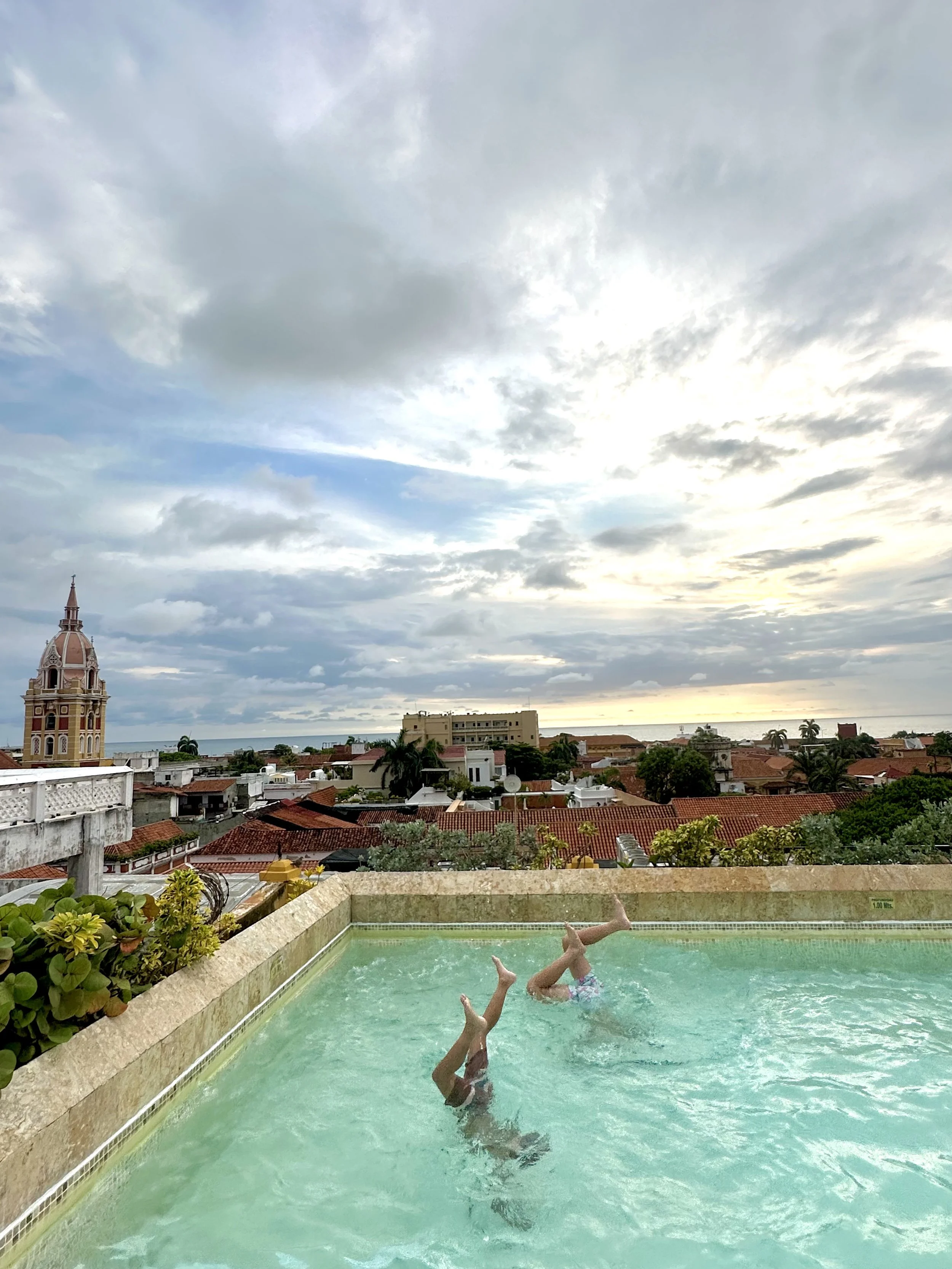A person doing a handstand in a swimming pool on a rooftop, with a cityscape and cloudy sky in the background.