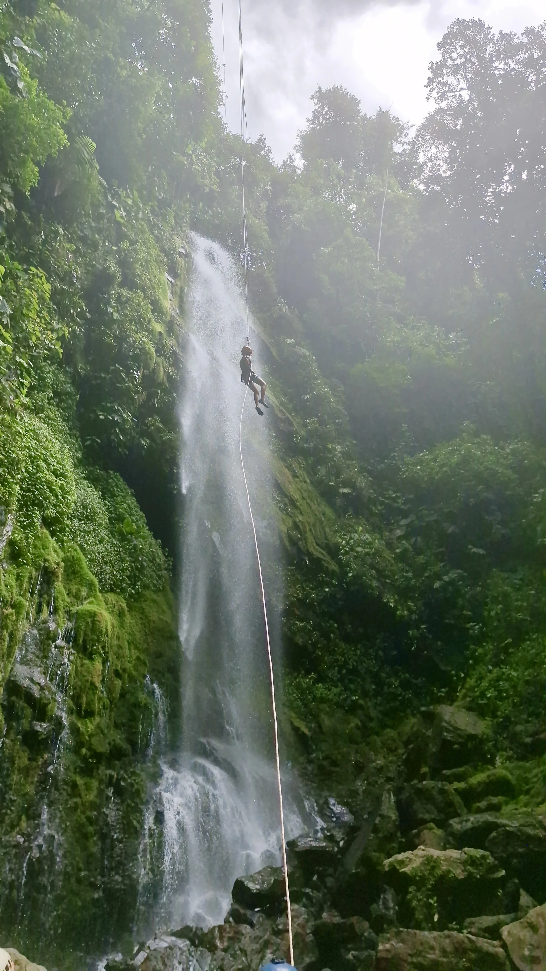 Person rappelling down a waterfall surrounded by lush green forest.