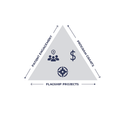 A triangle diagram with three labeled sides: Patient Engagement, Program Grants, and Flagship Projects, with icons representing people, money, and a compass in the center.