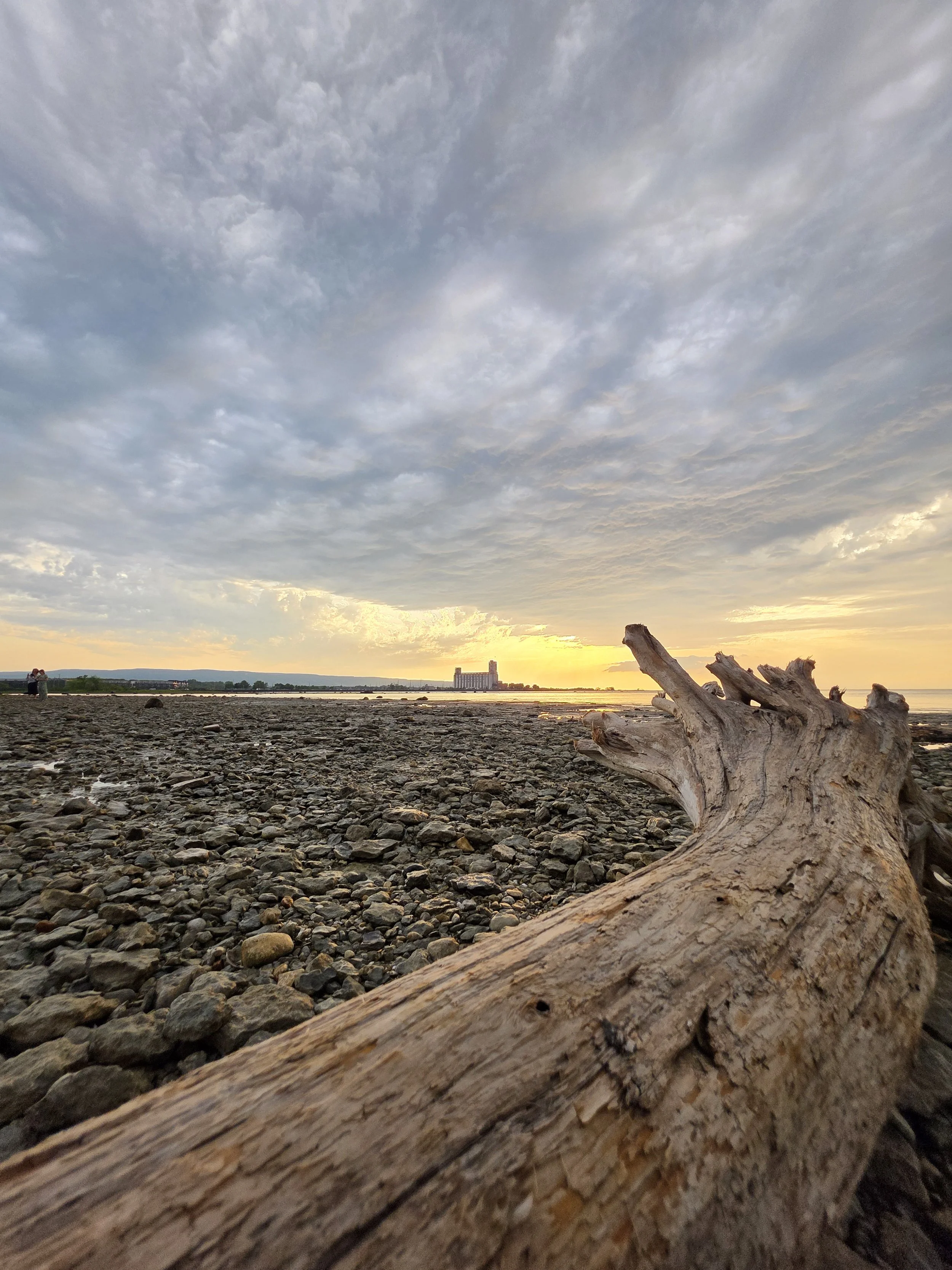 Enjoy beautiful Collingwood, with a outdoorsy vibe where nature calls with picturesque landscapes everywhere
