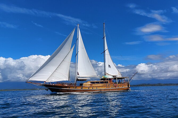 sail boat.png