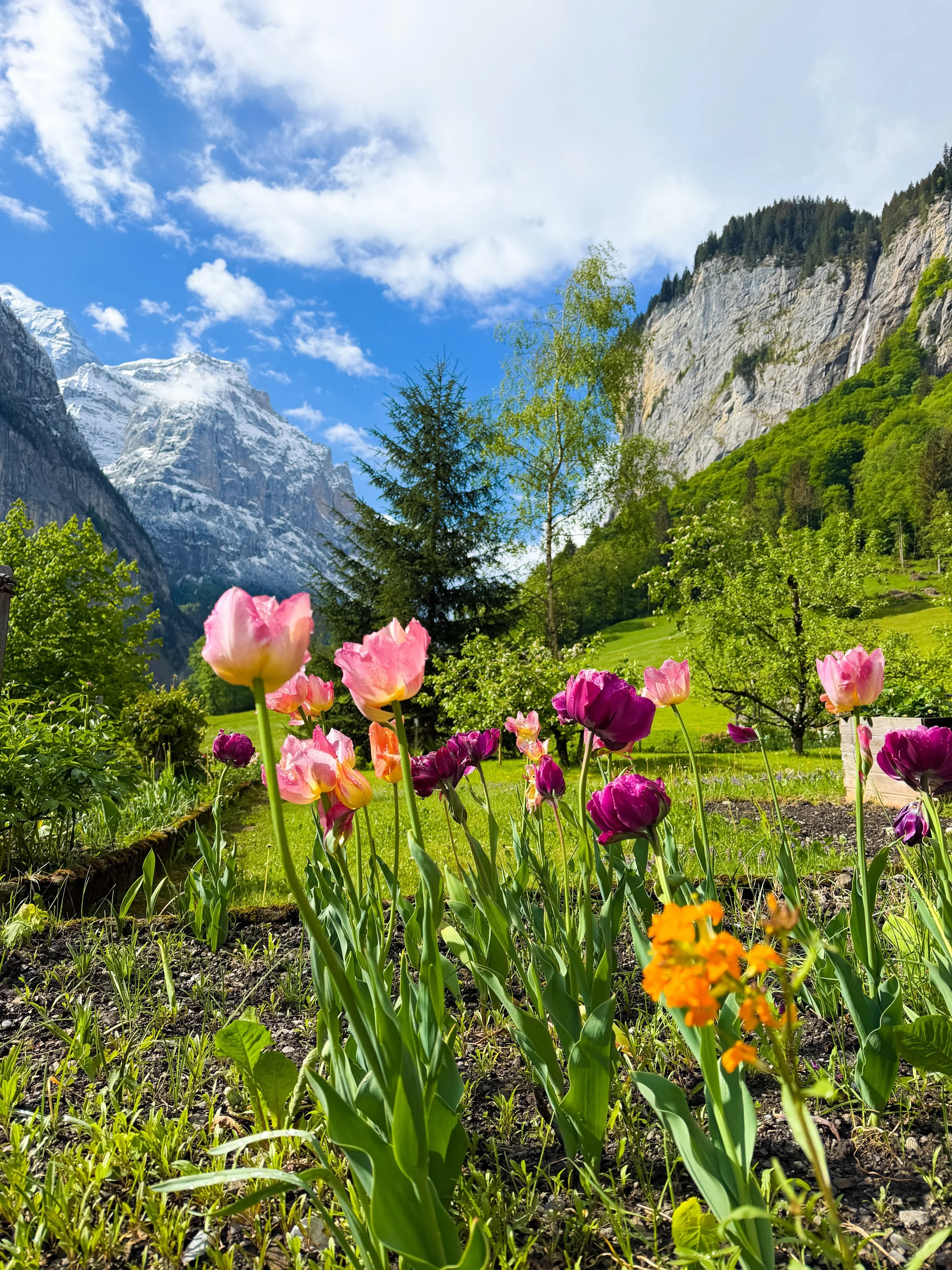 When you discover places this beautiful still exist 🏔️🌷

📍Lauterbrunnen, Switzerland 

#switzerlandtravel #switzerlandtourism #travelagentlife #wildishwander